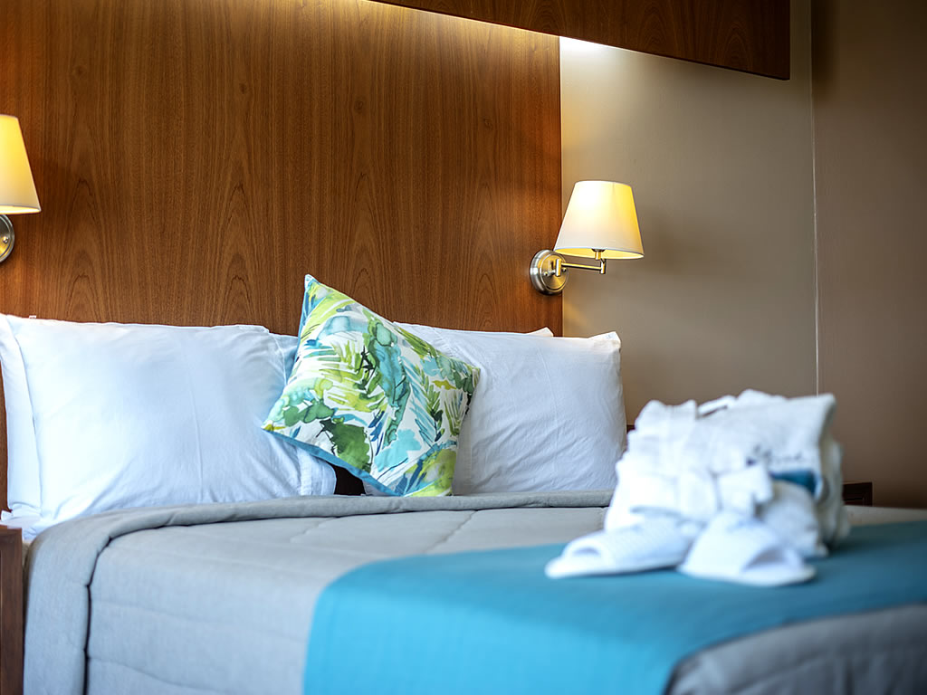 Habitación Doble con 1 Cama Queen