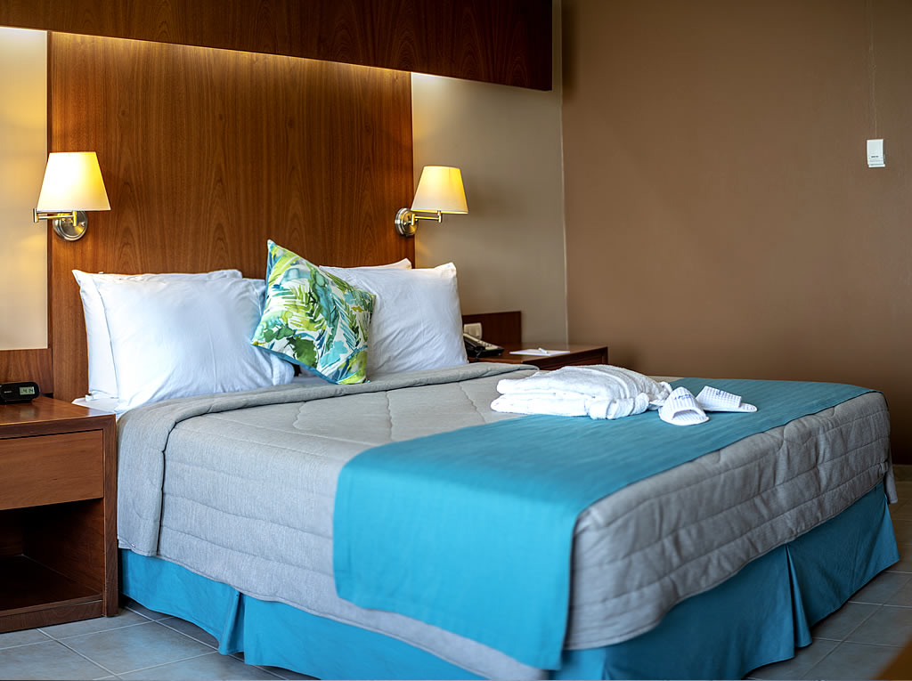Habitación Doble con 1 Cama Queen